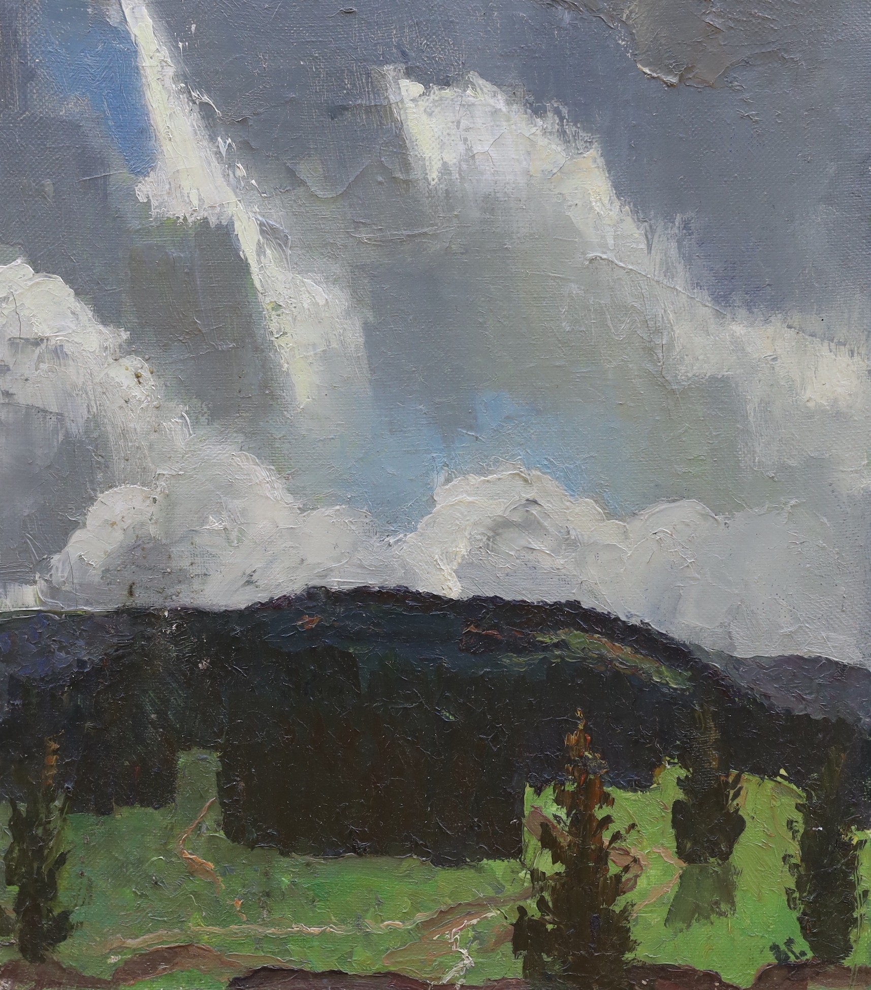 Vasily Ivanovich Gurin (1939-), oil on canvas, Landscape, inscribed verso, 45 x 40cm, unframed